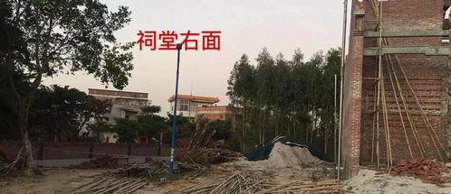 宜黄县媒体爆料最新消息,重大事件引发社会关注